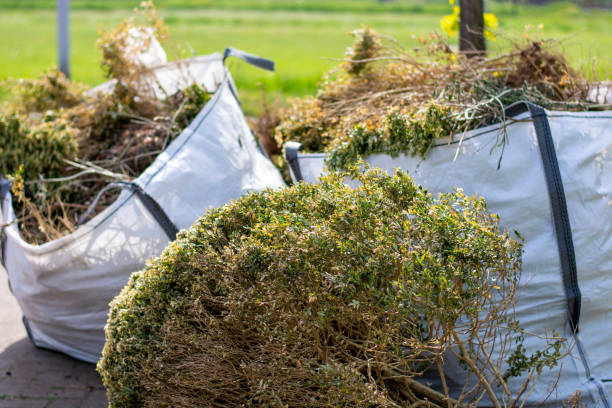 Best Professional Junk Removal  in Laguna Beach, FL